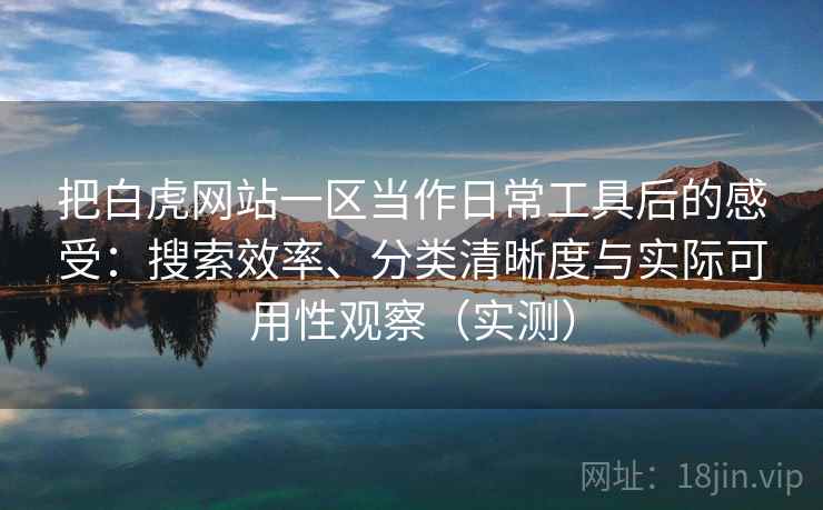 把白虎网站一区当作日常工具后的感受：搜索效率、分类清晰度与实际可用性观察（实测）