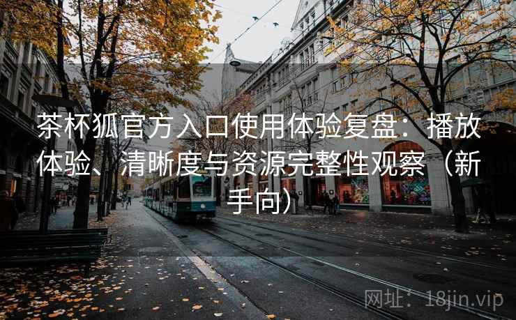 茶杯狐官方入口使用体验复盘：播放体验、清晰度与资源完整性观察（新手向）