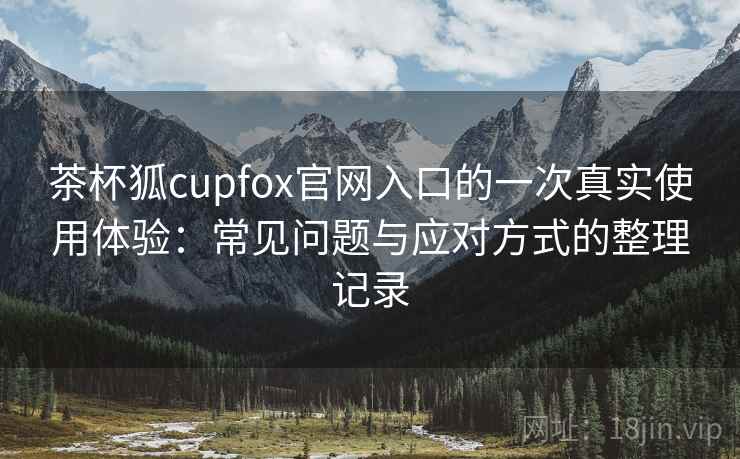茶杯狐cupfox官网入口的一次真实使用体验：常见问题与应对方式的整理记录