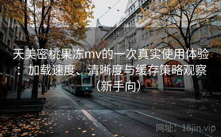 天美密桃果冻mv的一次真实使用体验：加载速度、清晰度与缓存策略观察（新手向）