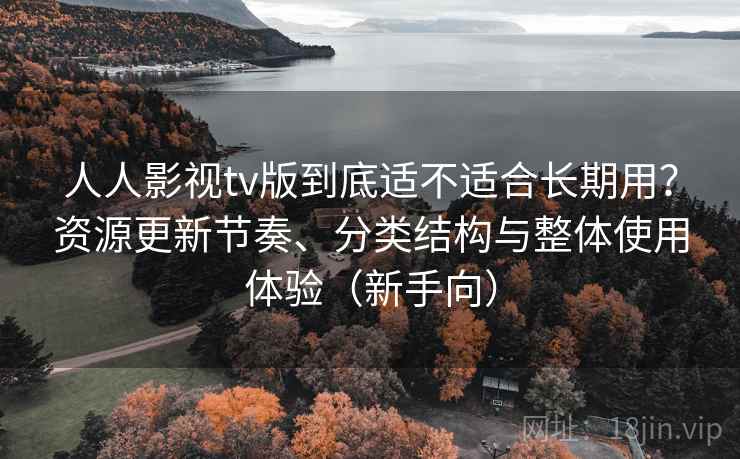 人人影视tv版到底适不适合长期用？资源更新节奏、分类结构与整体使用体验（新手向）