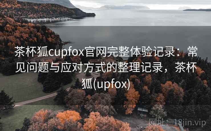 茶杯狐cupfox官网完整体验记录：常见问题与应对方式的整理记录，茶杯狐(upfox)