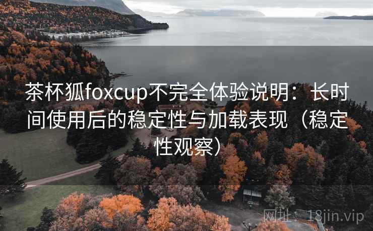 茶杯狐foxcup不完全体验说明：长时间使用后的稳定性与加载表现（稳定性观察）
